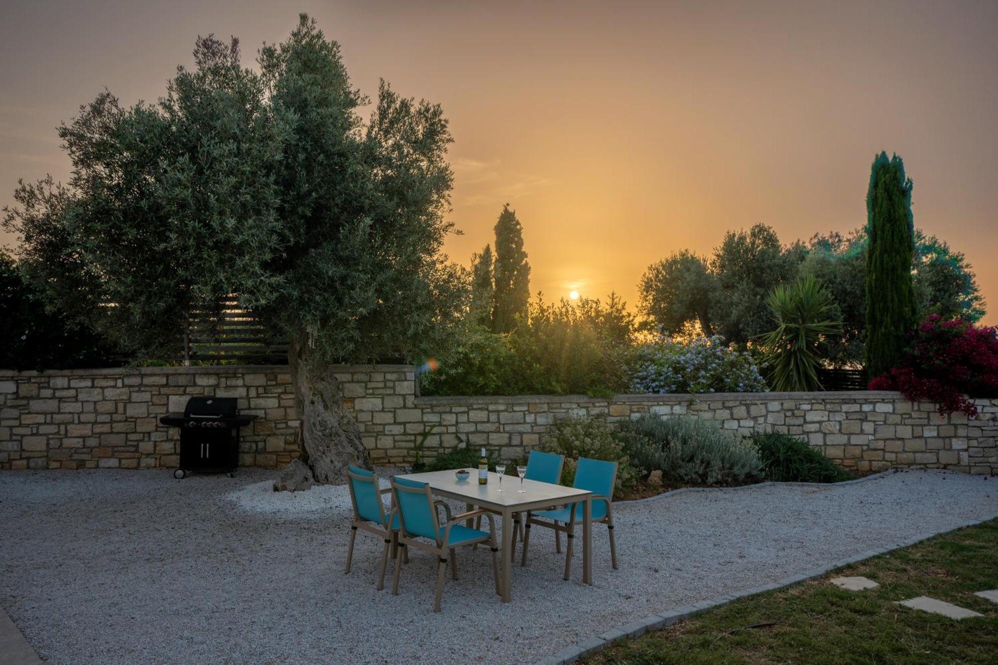 Villa Vasiliki Private Pool Erfoi Exteriör bild